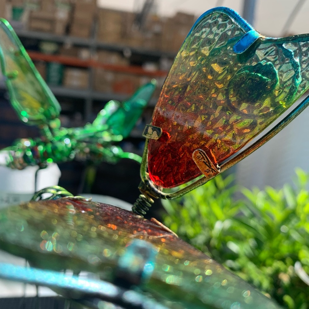 Meet your Posher, Zora